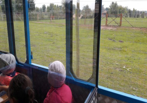 dzieci jada pociągiem i oglądają białego wielbłąda