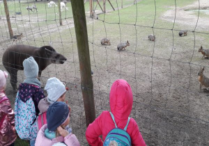 dzieci oglądają tapira