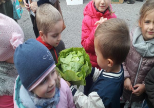 chłopcy trzymają główkę sałaty