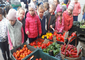 dzieci patrzą na papryki w różnych kolorach i kształcie