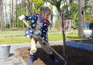w ogrodzie dziewczynka w kaloszach i kurtce grabi ziemię obok drzewka