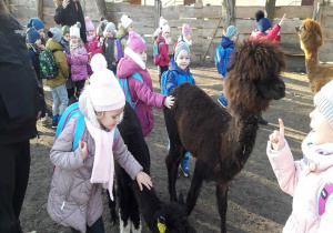 dzieci w zagrodzie z brązową i czarną lamą