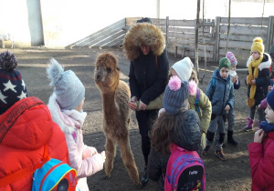 dzieci w zagrodzie z brązową lamą
