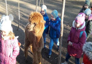 dzieci w zagrodzie wokół brązowej lamy