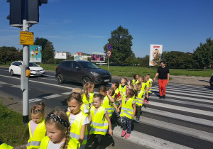 dzieci ubrane w kamizelki odblaskowe w kolorze cytrynowym idą parami pod opieka nauczycielki, po pasach,obok sygnalizatora a przed pasami zatrzymały się dwa auta