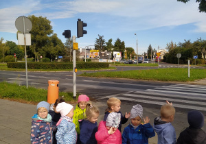maluszki stoją przy rondzie i obserwują ruch uliczny