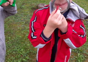 w ogrodzie chłopiec ogląda przez lupkę kawałek gałązki