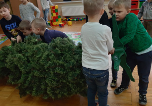 chłopcy podnoszą choinkę