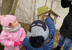 dzieci wsypują pokarm do karmnika zawieszonego na drzewie