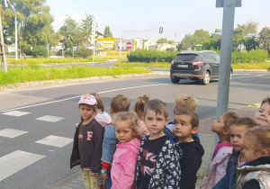 dzieci stoją przy pasach i czekają na światło