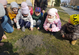 dzieci kucają obok kopca kreta