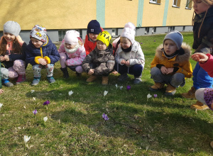 Szukamy wiosny