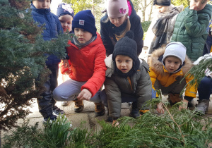 dzieci oglądają kępkę przebiśniegów