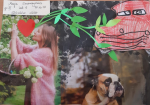 kobieta wącha kwiaty na krzewie z naklejonym sercem a po drugiej stronie czerwony samochód a od nim niezadowolony pies - praca wycinanka z kolorowych gazet