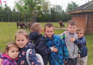 dzieci przed ogrodzeniem ze zwierzętami