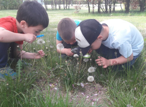 Piknik na łące