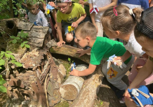 dzieci oglądają małe domki skrzatów w pniu drzewa