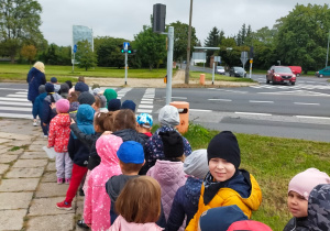 przedszkolaki uczą się przechodzić po pasach na zielonym świetle