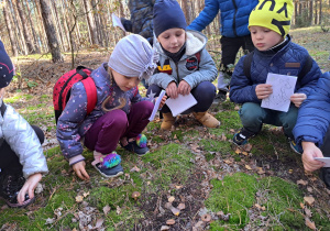 w lesie - przedszkolaki oglądają znalezionego grzybka