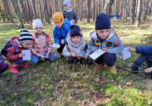 w lesie - dzieci oglądają wrzosy