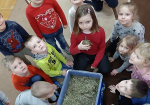 dziewczynka trzyma żółwia a dzieci młodsze patrzą