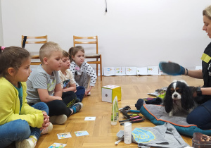 opiekunka Molly pokazuje rękawicę do czesania psa
