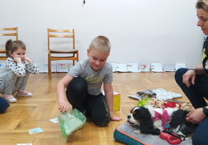 chłopiec uczy się sprzątania odchodów psa