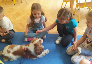przedszkolaki głaszczą Molly