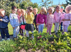 Warzywa dojrzewają