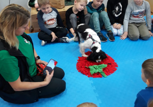 piesek szuka ukrytych smakołyków w swojej zabawcea dzieci się przyglądają
