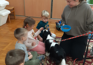 przedszkolaki karmią pieska
