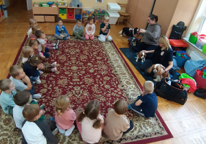 psy siedzą obok opiekunów a dzieci w kole
