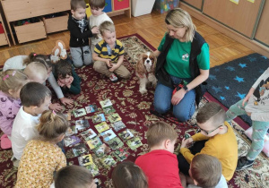 przedszkolaki oglądają obrazki różnych psów