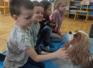 Dogoterapia