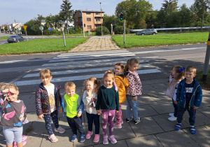 przedszkolaki przyglądją się ruchowi pojazdów