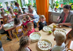 dzieci siedzą przy stolikach i układają jabłka na suszarkach, które kroją mamy
