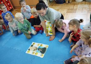 pani psycholog pokazuje przedszkolakom obrazki ludzi z różnymi minami oddającymi emocje