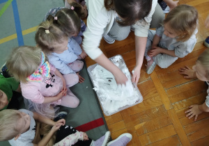prowadząca zajęcia miesza ręką pianę i nasiona w pojemniku