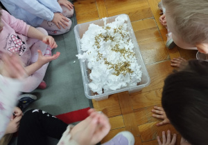 przedszkolaki siedzą przy pojemniku z pianką do golenia i nasionami