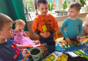 chłopcy wkładają do ziemi cebulki roślin