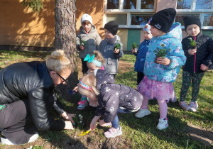 nauczycielka pomaga dzieciom sadzić bratki