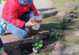 chłopiec podlewa posadzone kwiatki