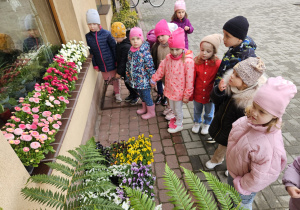 przedszkolaki stoją przed budynkiem kwiaciarni i oglądają kwiaty
