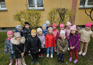 przedszkolaki pod krzakami forsycji