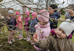 przedszkolaki oglądają pąki liści na krzewach bzu