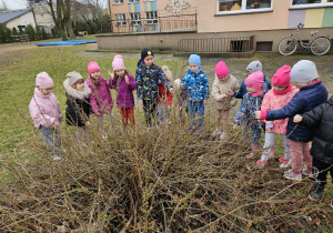 przedszkolaki oglądają pąki kwiatów na krzewie