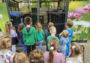 przedszkolaki pod śmietnikiem obserwują kolorowe pojemniki na śmieci