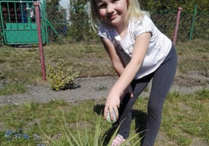dziecko chowa na działce jajko pod krzak