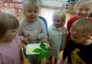 przedszkolaki przyglądają się ślimakowi