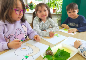 dzieci kolorują kontur ślimaka patrząc na naturalny okaz ślimaka umieszczonego na tacy